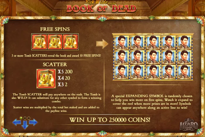 Book of Dead free spins feature with expanding symbol and maximum win display