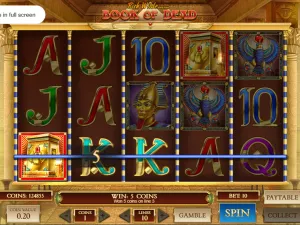 Book of Dead Slot Review: RTP, Features and Gameplay