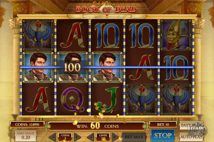 Book of Dead slot winning combination on reels
