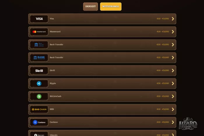 Lizaro Casino payment methods and withdrawal options