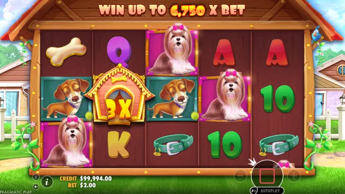 The Dog House slot overview
